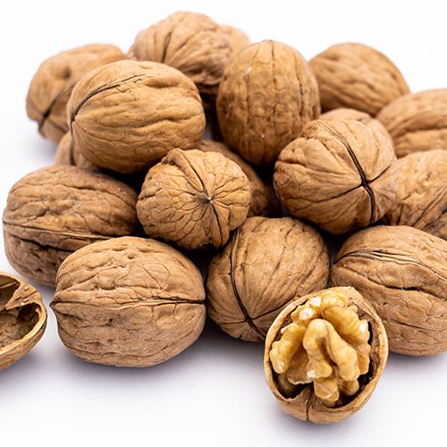Walnuts-dry-fruits-rajkot-india